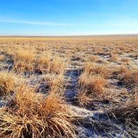 Affordable Parcel of CRP with Mountain Views Close Proximity to Denver Metro images 5