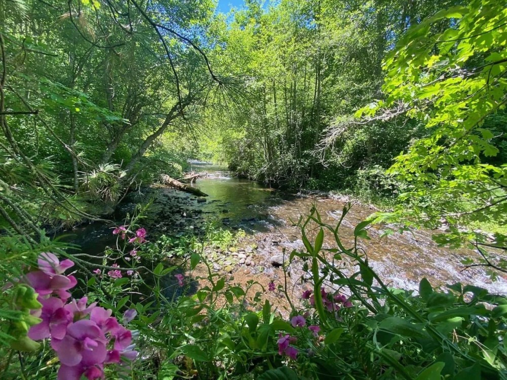 Little Butte Creek Hideaway featured image