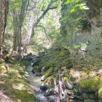 Little Butte Creek Hideaway images 2