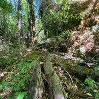 Little Butte Creek Hideaway images 3