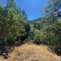 Little Butte Creek Hideaway images 4