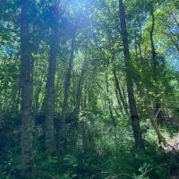 Little Butte Creek Hideaway images 5