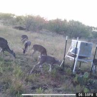 30 Acres images 3
