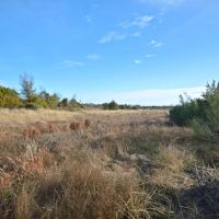 30 Acres images 5