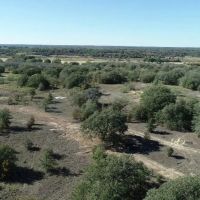 Metroplex area acreage with owner financing images 2