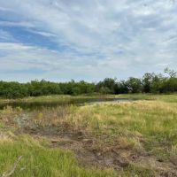 New Listing 43 - Acres TR 18 19 Shackelford County images 4