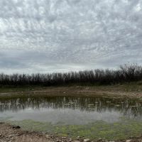 New Listing 43 - Acres TR 18 19 Shackelford County images 5