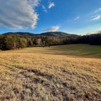 154 Stunning acres of multi-use mountain-view land for sale in Bedford County VA images 5