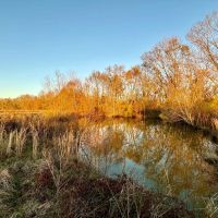 61 Acres in Hinds County MS images 2