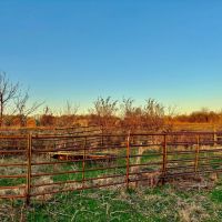 61 Acres in Hinds County MS images 3