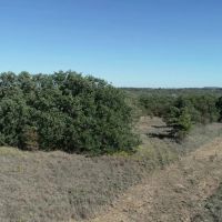 Quality oaks and homesites 50 miles from Downtown Ft. Worth images 5