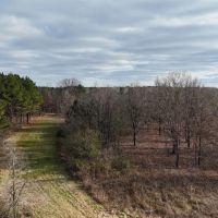76.34 Acres in Benton County MS images 2