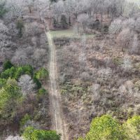 76.34 Acres in Benton County MS images 4