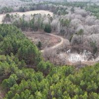 76.34 Acres in Benton County MS images 5