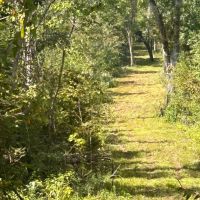 Blundell Dodson Tract Winn Parish 137 Acres - images 2