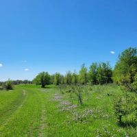 85 - Acres Brown County images 2
