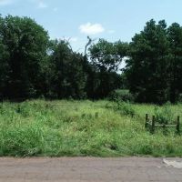 Tree covered acreage in Anderson Cty on paved road Tract 3 images 2