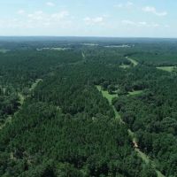 Tree covered acreage in Anderson Cty on paved road Tract 3 images 5