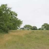 3 2 Home and Shop on 13 - Acres images 2