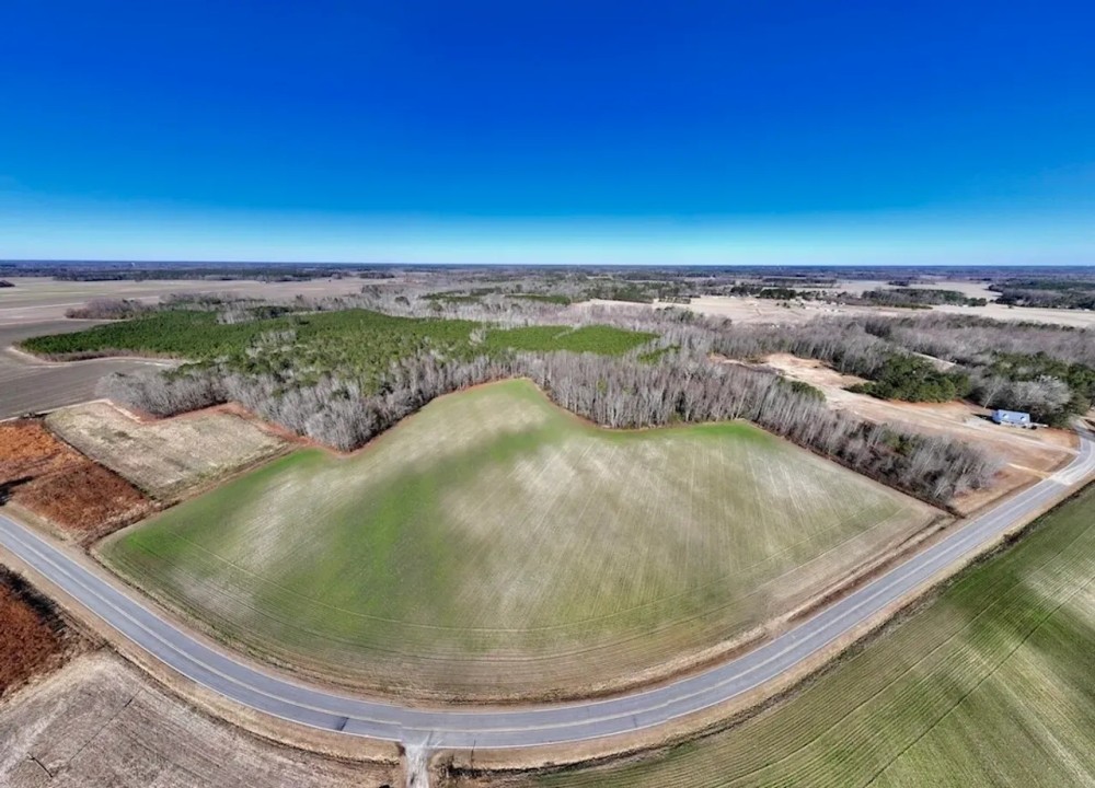 49 acres of Farmland and Timberland For Sale in Edgecombe County NC featured image