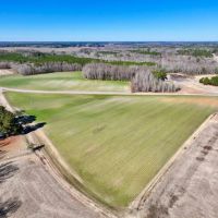 49 acres of Farmland and Timberland For Sale in Edgecombe County NC images 5