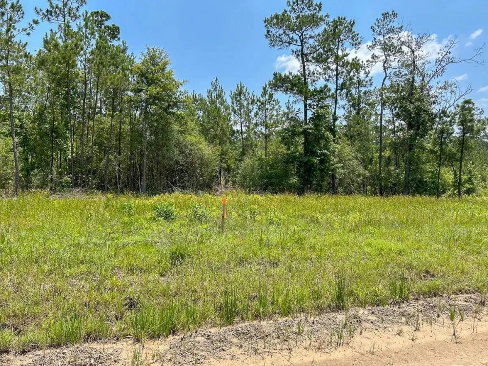 30 Acres Grimes Cemetery Road featured image