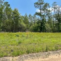 30 Acres Grimes Cemetery Road
