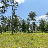 30 Acres Grimes Cemetery Road images 4