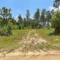 30 Acres Grimes Cemetery Road images 5