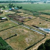 Brady Feedlot with 2 Homes