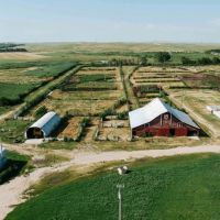 Brady Feedlot with 2 Homes images 5