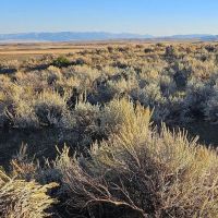 Shields Valley View Ranch