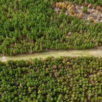 17 - Acre Homesite and Hunting Property for Sale in Lasalle