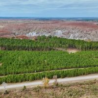 17 - Acre Homesite and Hunting Property for Sale in Lasalle images 2