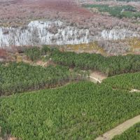 17 - Acre Homesite and Hunting Property for Sale in Lasalle images 4