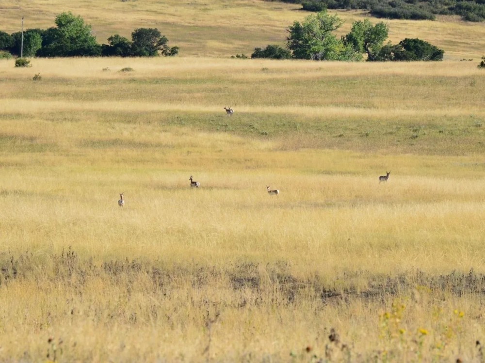 Pounds Ranch featured image