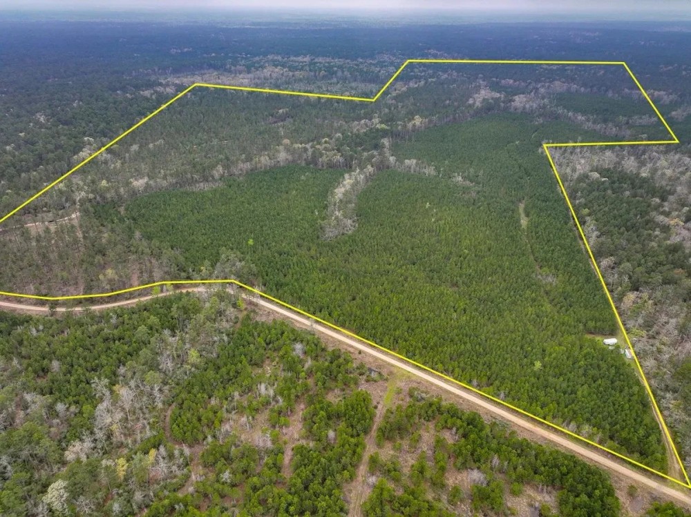 296 Acres Adjoins National Forest featured image