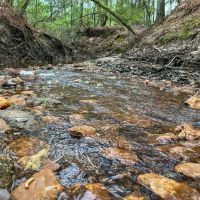 296 Acres Adjoins National Forest images 3