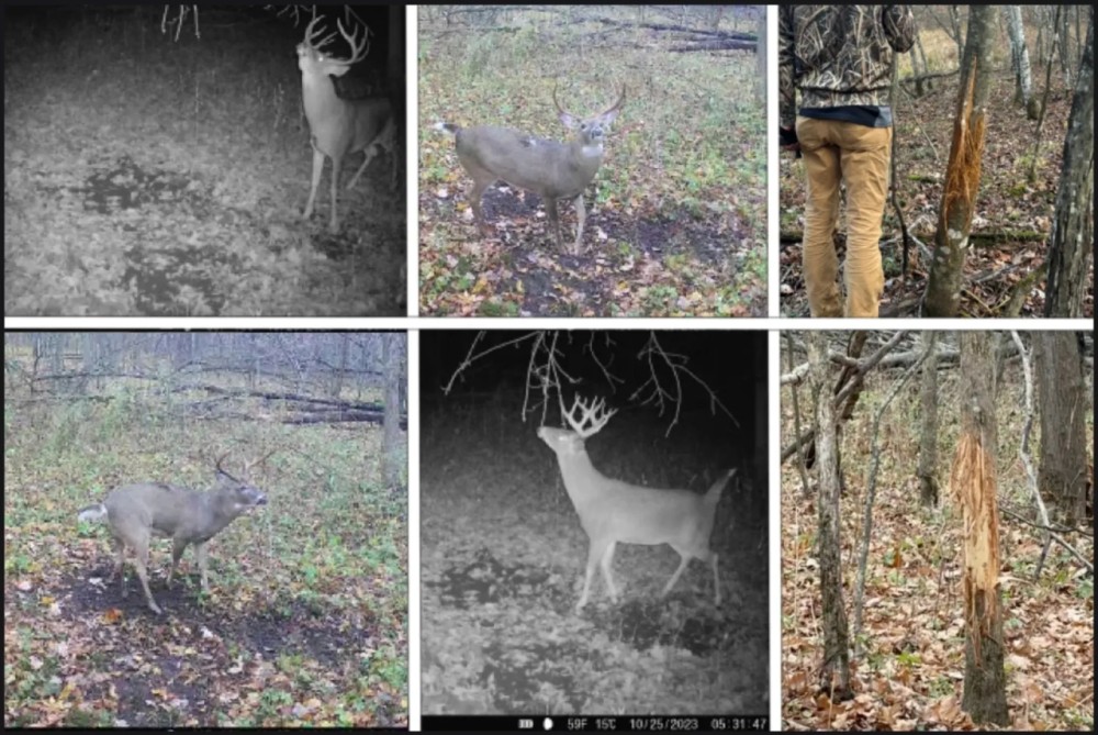 Ridgetop Hunting Land for sale in Vernon County Wisconsin featured image