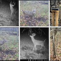 Ridgetop Hunting Land for sale in Vernon County Wisconsin