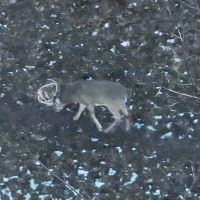 Ridgetop Hunting Land for sale in Vernon County Wisconsin images 3