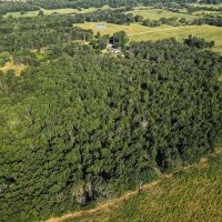 Land for Sale In Missouri images 5