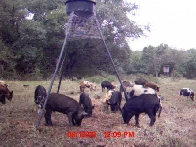 194 acres in Matagorda County Texas featured image