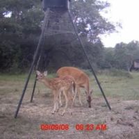 194 acres in Matagorda County Texas images 2