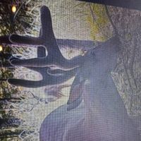 LA - Tensas 350 acres -