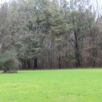 Chickasaw Bogue Hunting Property - 550 acres