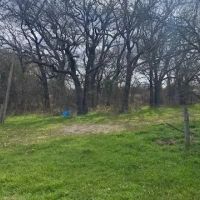 New Listing 155 -Ac TBD CR 426 Cross Plains images 3
