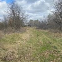 New Listing 155 -Ac TBD CR 426 Cross Plains images 4