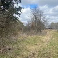 New Listing 155 -Ac TBD CR 426 Cross Plains images 5