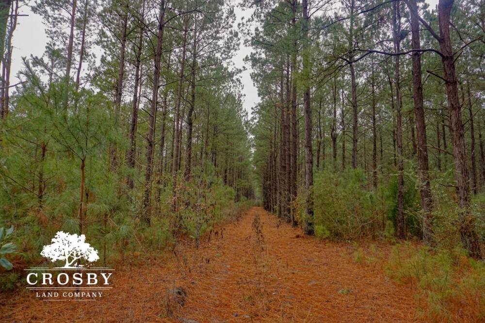 Clark Tract featured image